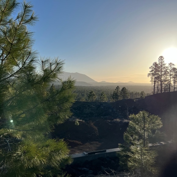 Meet your Posher, Sarah - Picture 2 of 2